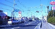 RIMG0229.JPG